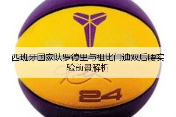 西班牙国家队罗德里与祖比门迪双后腰实验前景解析